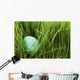 Speckled Egg In The Grass Wall Mural