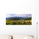 Flock Of Sheep Grazing In A Field, County Wicklow, Republic Of Ireland Wall Mural