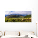 Flock Of Sheep Grazing In A Field, County Wicklow, Republic Of Ireland Wall Mural