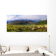Flock Of Sheep Grazing In A Field, County Wicklow, Republic Of Ireland Wall Mural