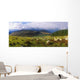 Flock Of Sheep Grazing In A Field, County Wicklow, Republic Of Ireland Wall Mural
