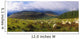 Flock Of Sheep Grazing In A Field, County Wicklow, Republic Of Ireland Wall Mural