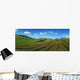 Cut Turf On A Landscape, Connemara, County Galway, Republic Of Ireland Wall Mural