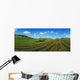 Cut Turf On A Landscape, Connemara, County Galway, Republic Of Ireland Wall Mural