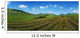 Cut Turf On A Landscape, Connemara, County Galway, Republic Of Ireland Wall Mural