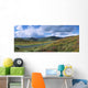 Road Through A Mountain Range, County Wicklow, Republic Of Ireland Wall Mural