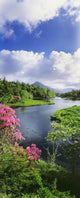 River Leading To A Mountain Wall Mural