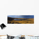 Republic Of Ireland Wall Mural
