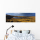 Republic Of Ireland Wall Mural
