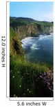 Wildflowers At The Coast, County Antrim, Northern Ireland Wall Mural