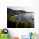 Wildflowers At The Coast, County Antrim, Northern Ireland Wall Mural
