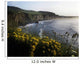 Wildflowers At The Coast, County Antrim, Northern Ireland Wall Mural