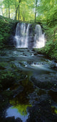 Low Angle View Of A Waterfall Wall Mural