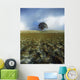 Tree On A Landscape, Giant's Ring, Belfast, Northern Ireland Wall Mural