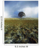 Tree On A Landscape, Giant's Ring, Belfast, Northern Ireland Wall Mural