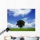 Oak Tree On A Landscape, County Meath, Republic Of Ireland Wall Mural