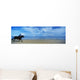 Man Riding A Pony On The Beach Wall Mural