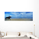 Man Riding A Pony On The Beach Wall Mural