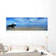 Man Riding A Pony On The Beach Wall Mural