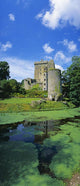 Pond In Front Of A Castle Wall Mural