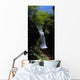 Waterfall In A Forest Wall Mural