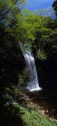 Waterfall In A Forest Wall Mural
