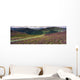 Country Road Passing Through A Landscape Wall Mural