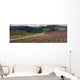 Country Road Passing Through A Landscape Wall Mural