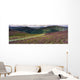 Country Road Passing Through A Landscape Wall Mural