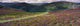 Country Road Passing Through A Landscape Wall Mural