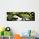 River Flowing Through A Forest Wall Mural