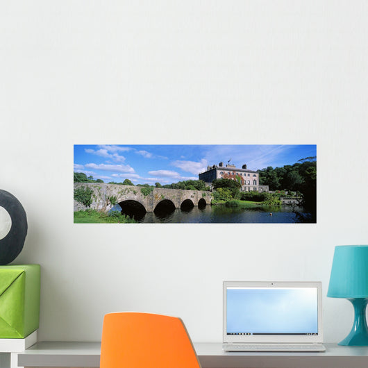 Republic Of Ireland Wall Mural