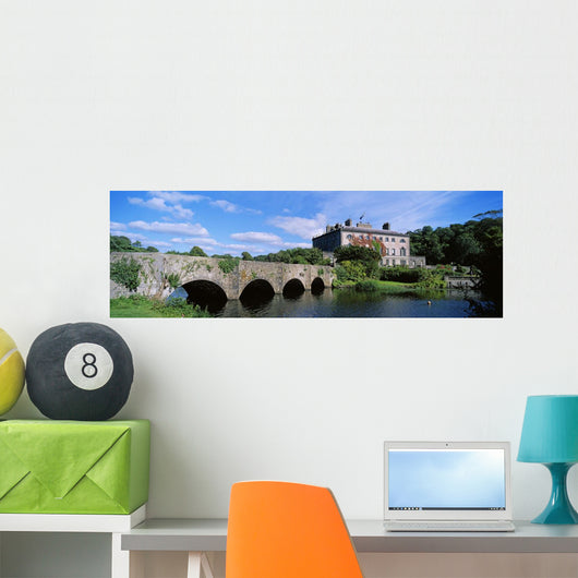 Republic Of Ireland Wall Mural