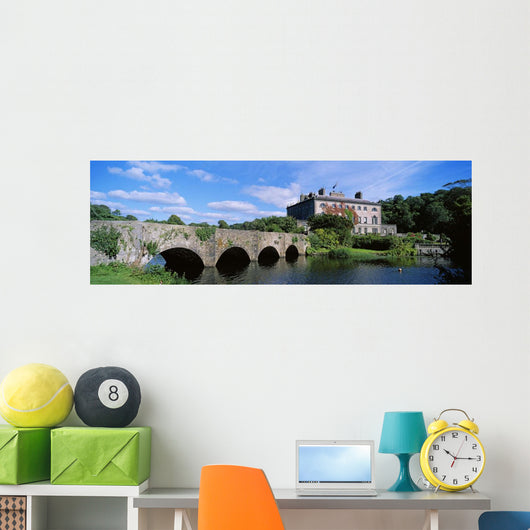 Republic Of Ireland Wall Mural
