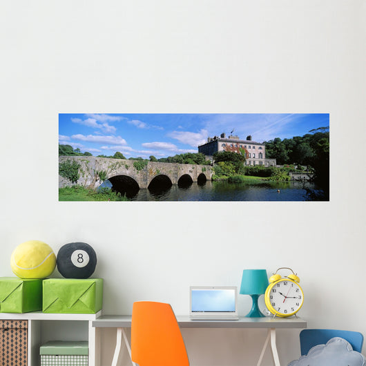 Republic Of Ireland Wall Mural