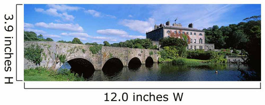 Republic Of Ireland Wall Mural