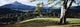 Tree In A Field, Great Sugar Loaf, County Wicklow, Republic Of Ireland Wall Mural