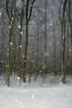 Snow Storm Wall Decal