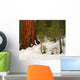 Giant Sequoia 101 Wall Decal