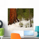 Giant Sequoia 101 Wall Decal
