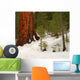 Giant Sequoia 101 Wall Decal
