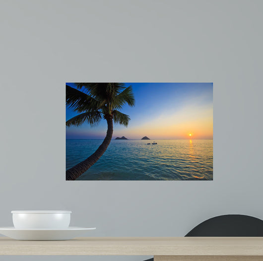 Pacific Sunrise with Palm