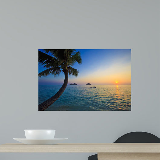 Pacific Sunrise with Palm