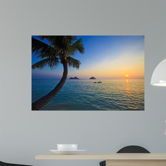 Pacific Sunrise with Palm