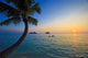 Pacific Sunrise with Palm