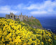 Dunluce Castle, Co Antrim, Ireland Wall Mural