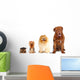 Group of dogs different sizes isolated Wall Decal