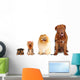 Group of dogs different sizes isolated Wall Decal