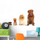 Group of dogs different sizes isolated Wall Decal