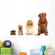 Group of dogs different sizes isolated Wall Decal